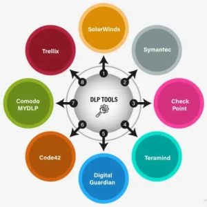 Data Loss Prevention (DLP) Tools